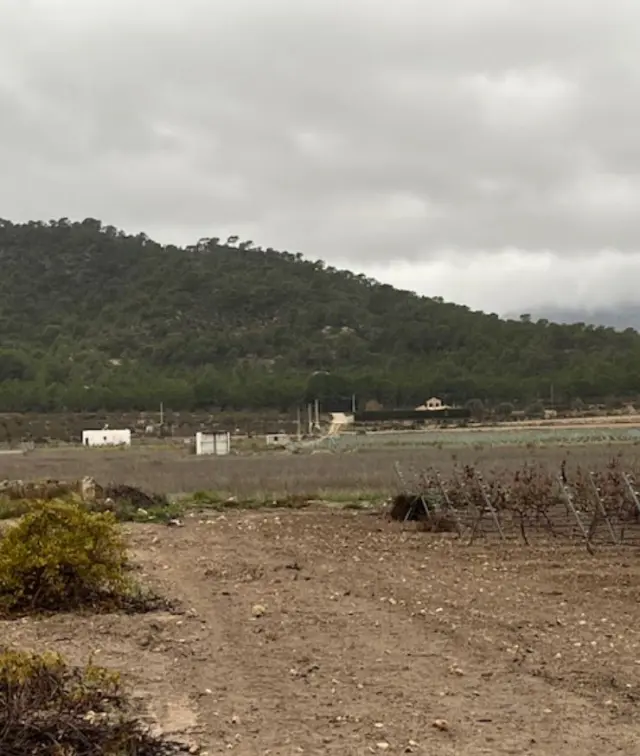 Subasta de finca rústica en Salinas el 13 de abril de 2026