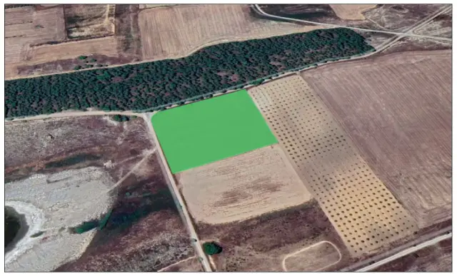 Subasta de finca rústica en Lodosa el 6 de abril de 2026