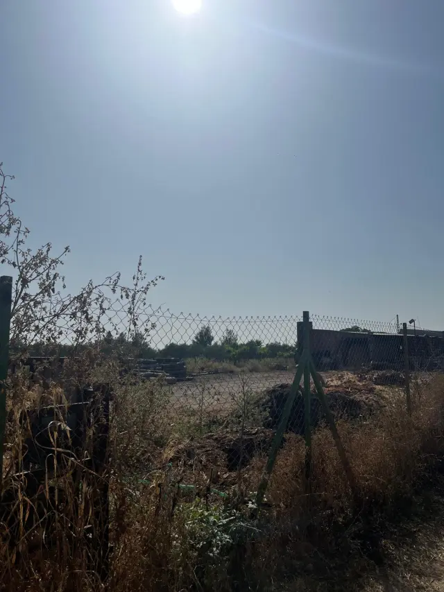 Subasta de finca rústica en Aznalcazar el 20 de abril de 2026