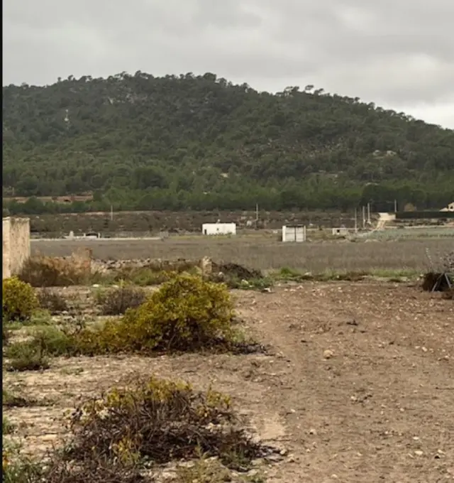 Subasta de finca rústica en Salinas el 13 de abril de 2026