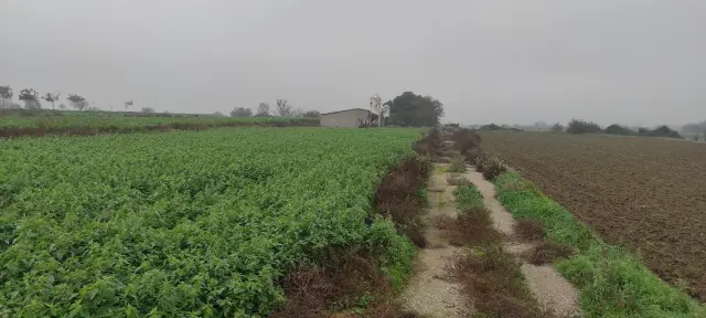 Subasta de finca rústica en Vila-sana el 20 de abril de 2026