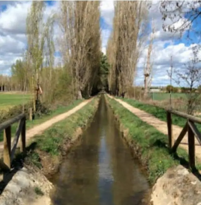 Subasta de finca rústica en Boecillo el 13 de abril de 2026