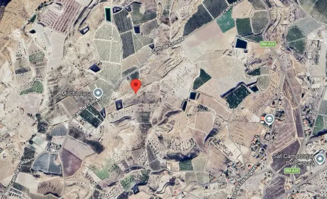 Subasta de finca rústica en Molina De Segura el 13 de abril de 2026