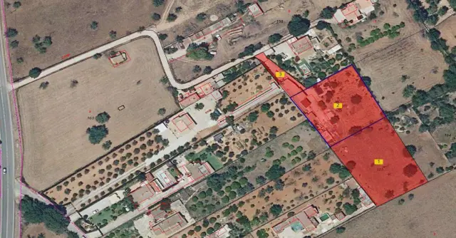 Subasta de finca rústica en Inca el 20 de abril de 2026