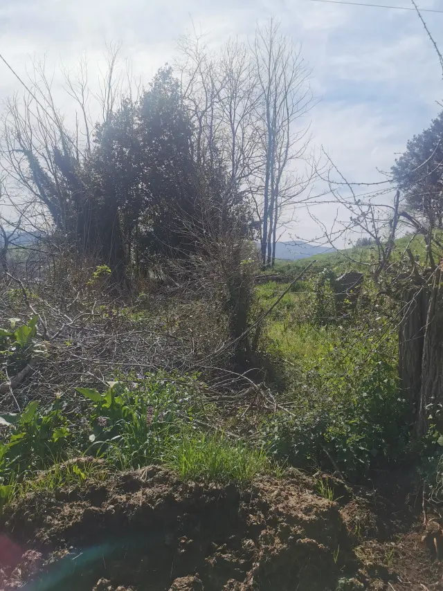 Subasta de finca rústica en Medio Cudeyo el 20 de abril de 2026