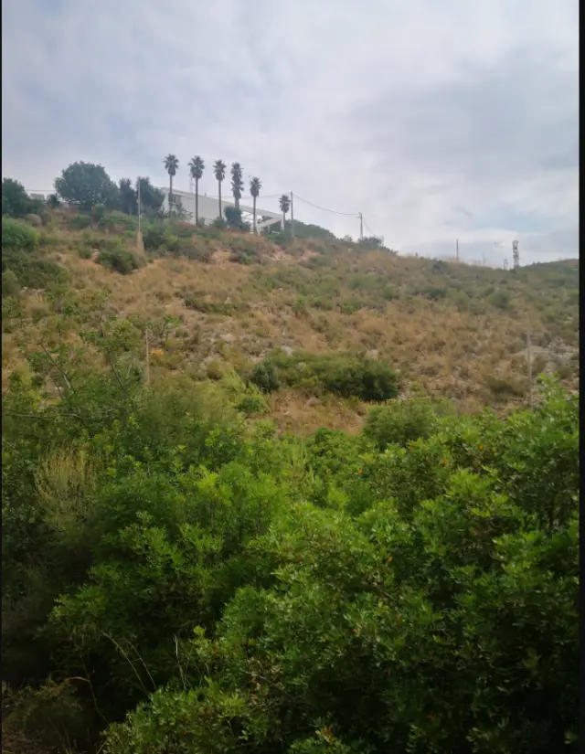 Subasta de otros en Chiva el 6 de abril de 2026