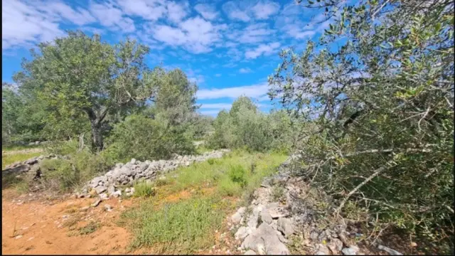 Subasta de finca rústica en Cervera Del Maestre el 6 de abril de 2026
