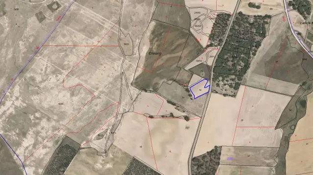 Subasta de finca rústica en Zarza (la) el 30 de marzo de 2026