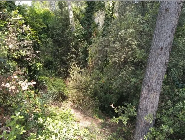 Subasta de solar en Terrassa el 23 de marzo de 2026