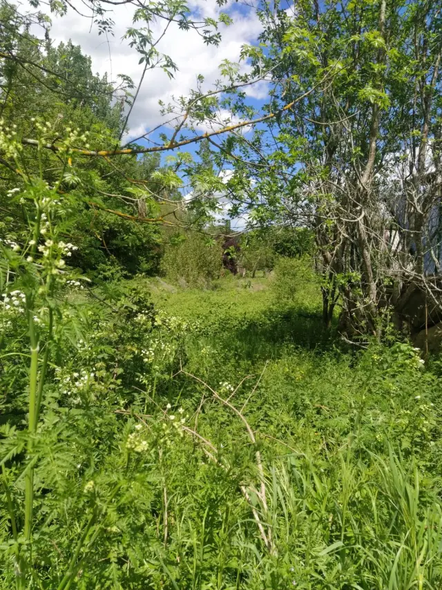 Subasta de solar en Latasa el 6 de abril de 2026