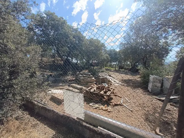 Subasta de finca rústica en Moclin el 6 de abril de 2026