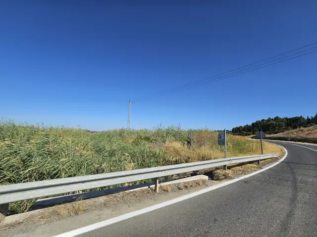 Subasta de solar en Santiponce el 23 de marzo de 2026