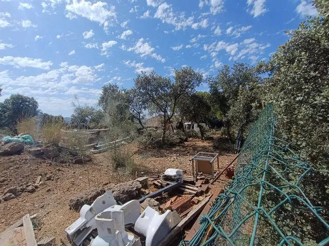 Subasta de finca rústica en Moclin el 6 de abril de 2026