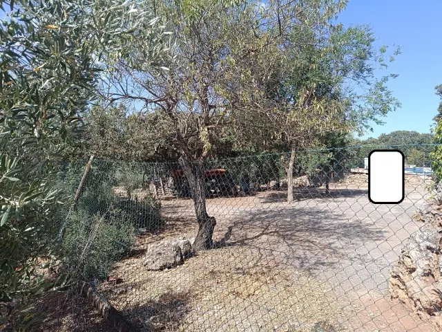 Subasta de finca rústica en Moclin el 6 de abril de 2026