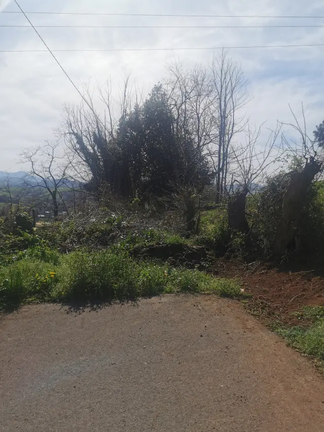 Subasta de finca rústica en Medio Cudeyo el 20 de abril de 2026