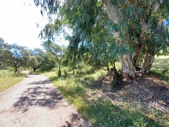 Subasta de finca rústica en El Ronquillo el 6 de abril de 2026