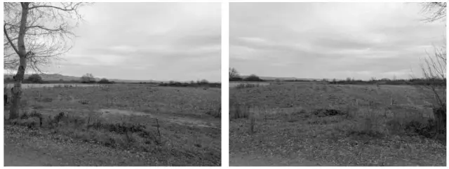 Subasta de finca rústica en Lodosa el 6 de abril de 2026