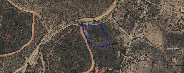 Subasta de finca rústica en El Ronquillo el 6 de abril de 2026