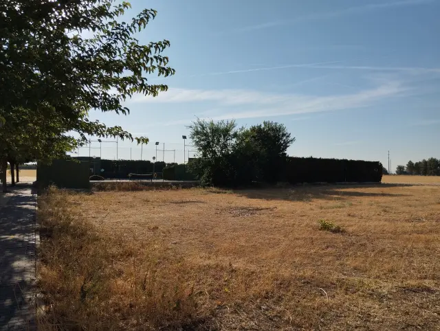 Subasta de otros en Torralba De Calatrava el 20 de abril de 2026