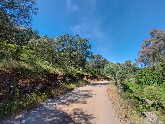 Subasta de finca rústica en El Ronquillo el 6 de abril de 2026