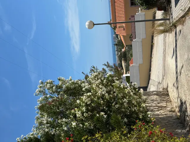 Subasta de solar en Dénia el 23 de marzo de 2026