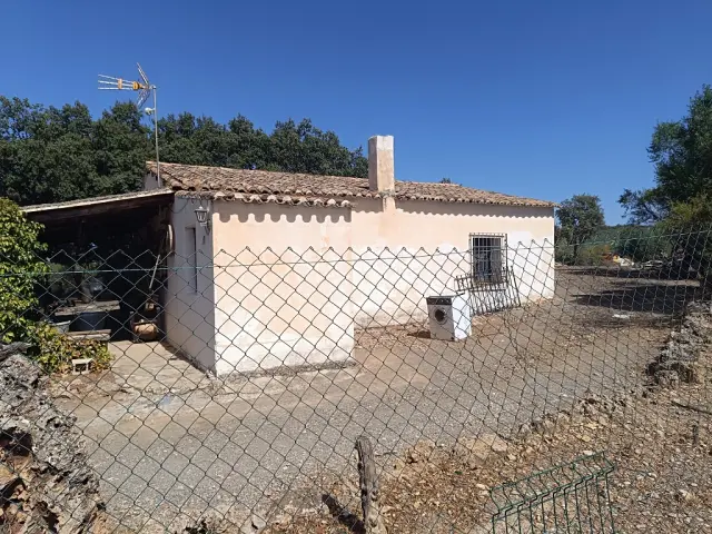 Subasta de finca rústica en Moclin el 6 de abril de 2026