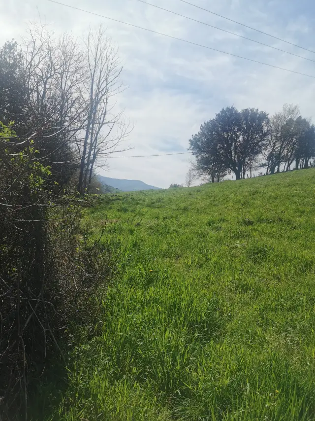 Subasta de finca rústica en Medio Cudeyo el 20 de abril de 2026