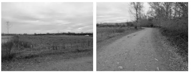 Subasta de finca rústica en Lodosa el 6 de abril de 2026