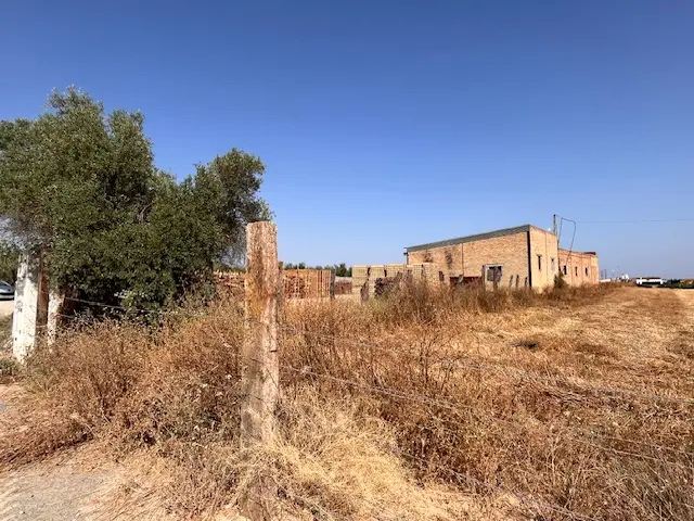 Subasta de finca rústica en Aznalcazar el 20 de abril de 2026