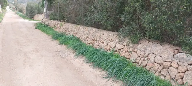 Subasta de vivienda en Llucmajor el 20 de abril de 2026