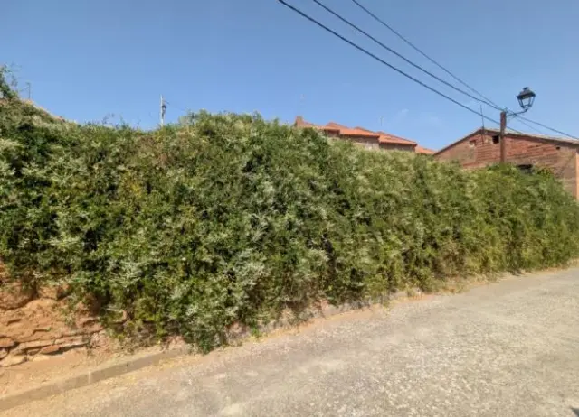 Subasta de vivienda en Ciruelas el 20 de abril de 2026