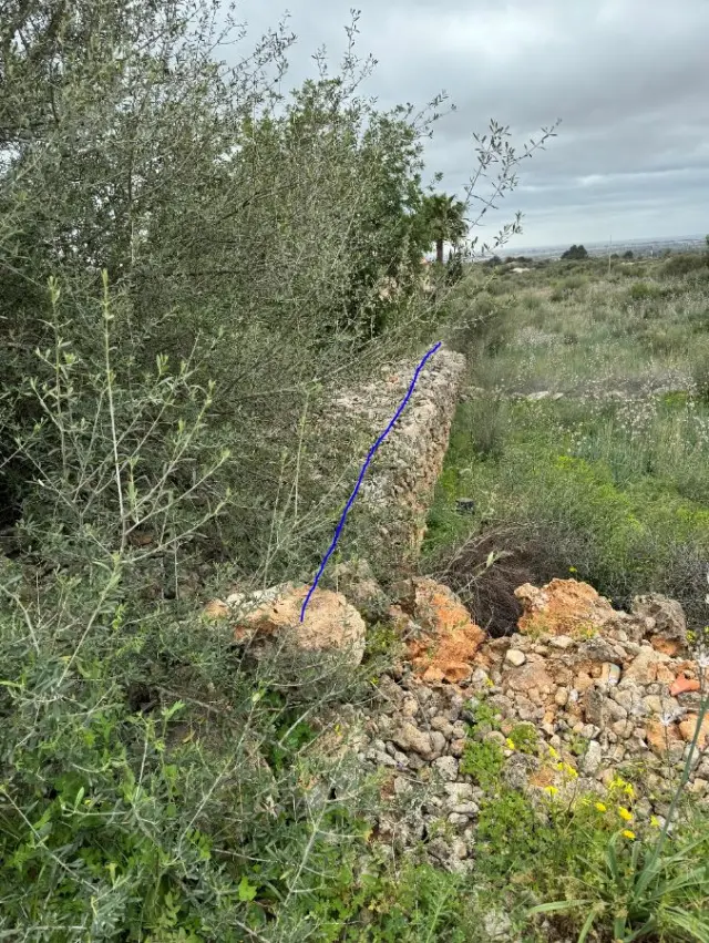 Subasta de solar en Marratxi el 23 de marzo de 2026