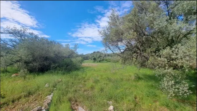 Subasta de finca rústica en Cervera Del Maestre el 6 de abril de 2026