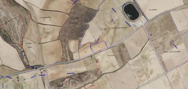 Subasta de finca rústica en Poveda De Las Cintas el 23 de marzo de 2026