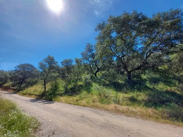 Subasta de finca rústica en El Ronquillo el 6 de abril de 2026