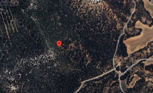 Subasta de otros el 13 de abril de 2026