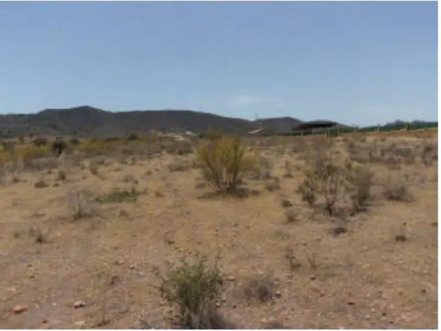 Subasta de finca rústica en Lorca el 30 de marzo de 2026