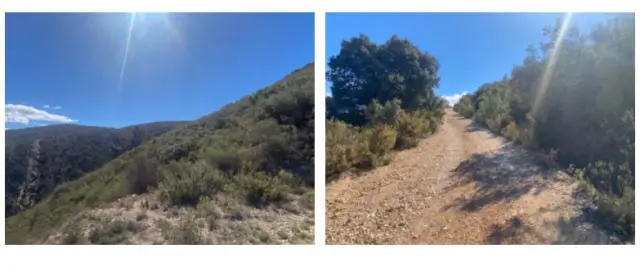 Subasta de finca rústica en Bocairent el 30 de marzo de 2026