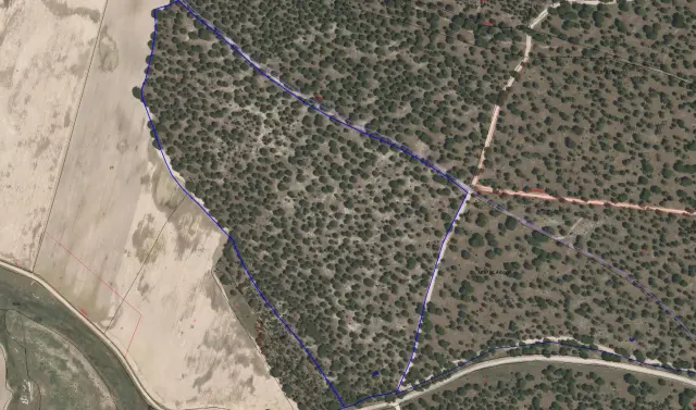 Subasta de finca rústica en Zarza (la) el 23 de marzo de 2026