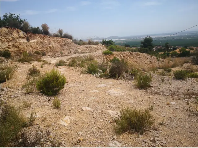 Subasta de otros en Chiva el 6 de abril de 2026