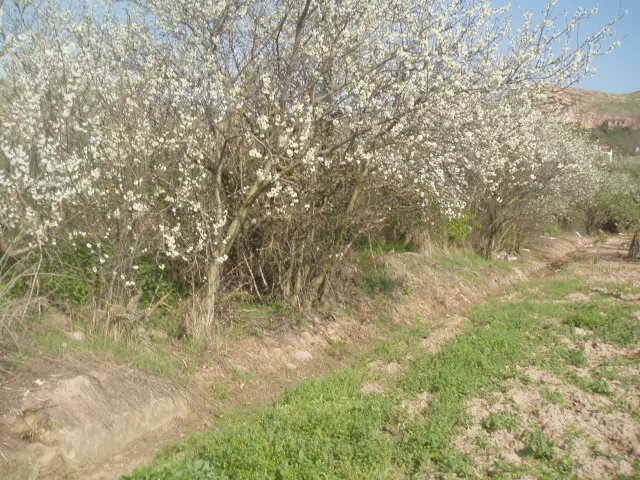 Subasta de solar en Albelda De Iregua el 6 de abril de 2026