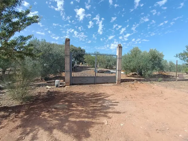 Subasta de finca rústica en Moclin el 6 de abril de 2026