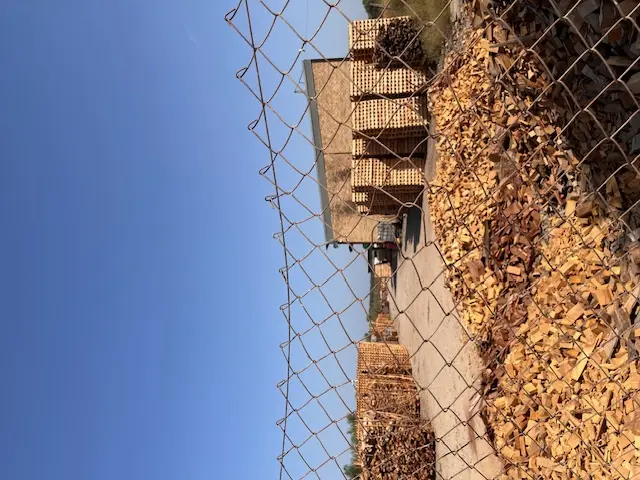 Subasta de finca rústica en Aznalcazar el 20 de abril de 2026