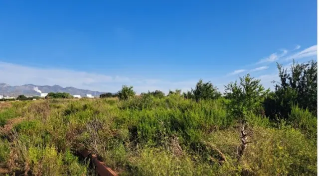 Subasta de finca rústica en Moncofa el 23 de marzo de 2026