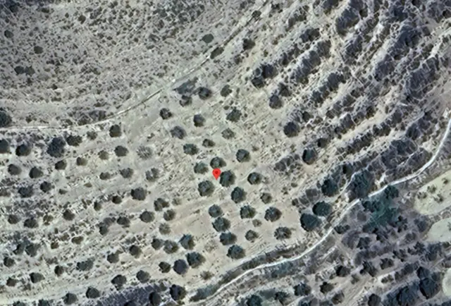 Subasta de finca rústica en Cornago el 6 de abril de 2026