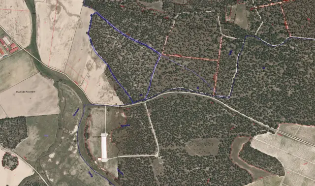 Subasta de finca rústica en Zarza (la) el 23 de marzo de 2026