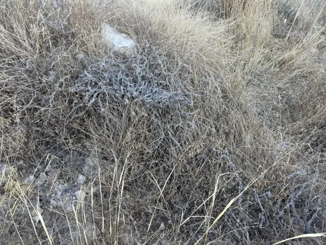 Subasta de solar en Velez De Benaudalla el 30 de marzo de 2026