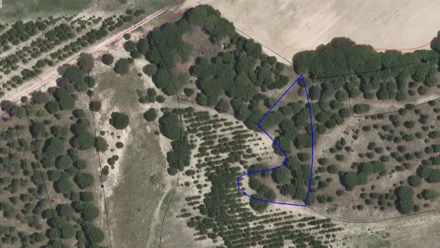 Subasta de finca rústica en Zarza (la) el 30 de marzo de 2026